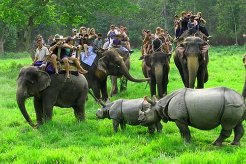 chitwan tour